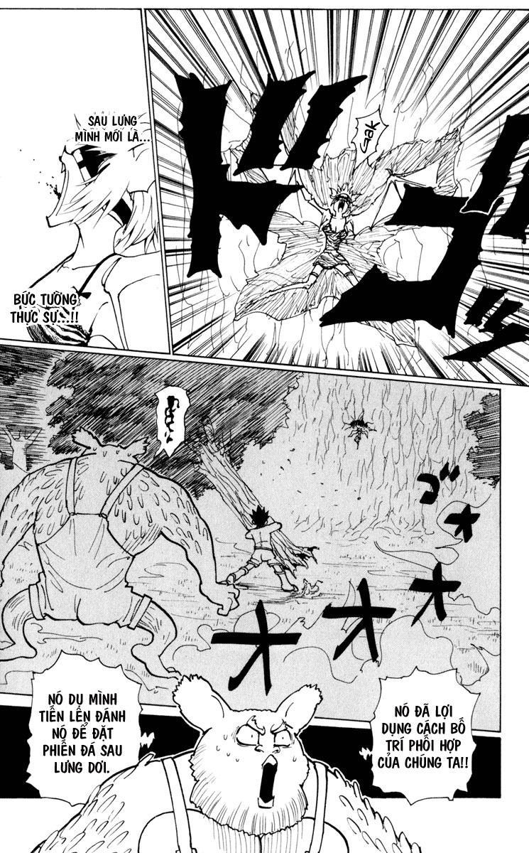 Hunter X Hunter Tập 233 trang 13