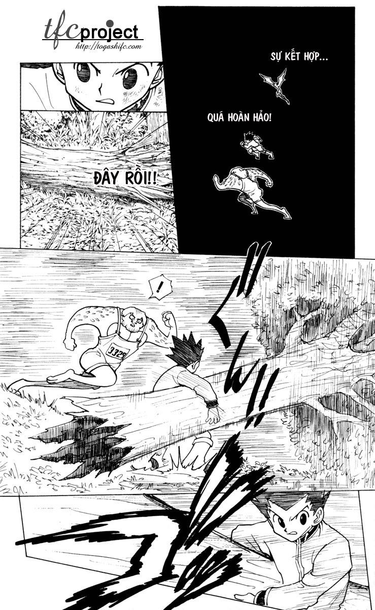 Hunter X Hunter Tập 233 trang 10