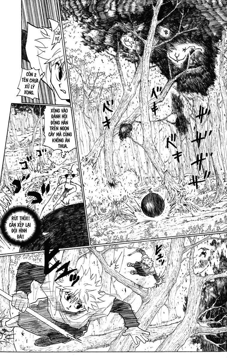 Hunter X Hunter Tập 236 trang 11