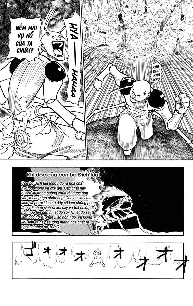Hunter X Hunter Tập 236 trang 13