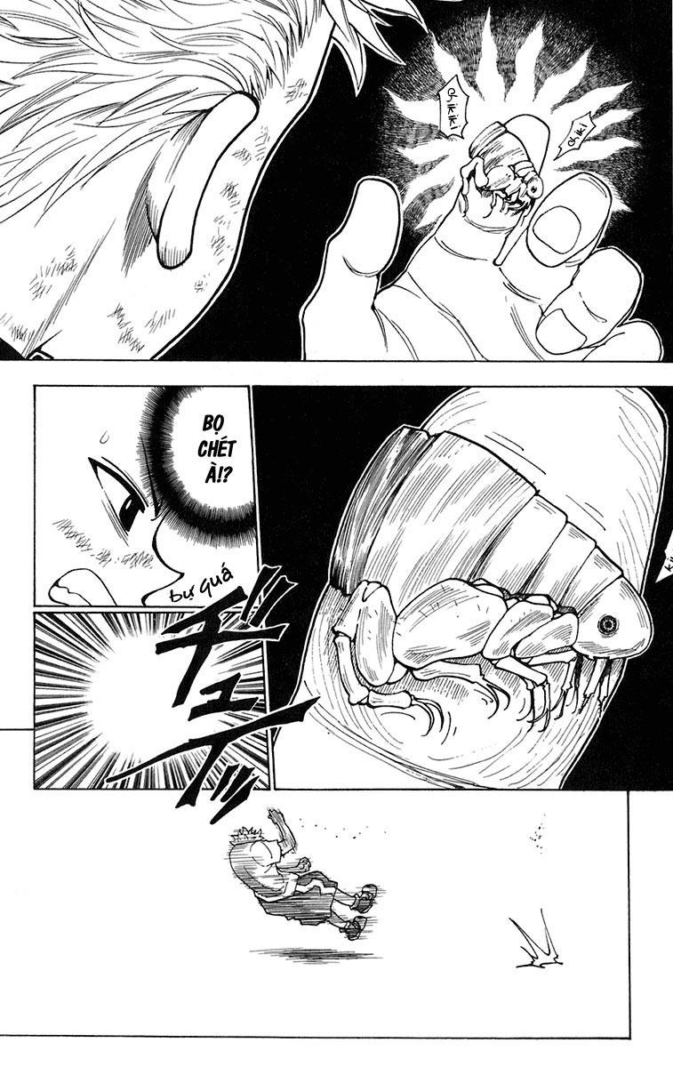 Hunter X Hunter Tập 236 trang 16