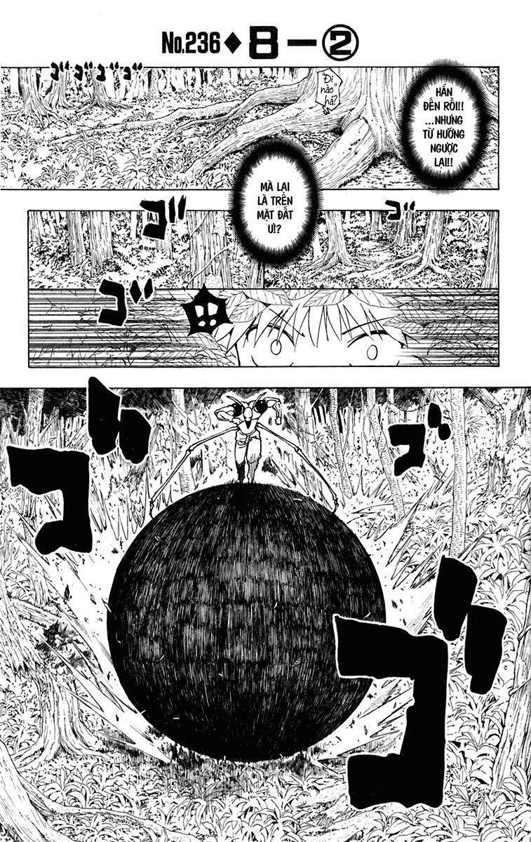 Hunter X Hunter Tập 236 trang 3