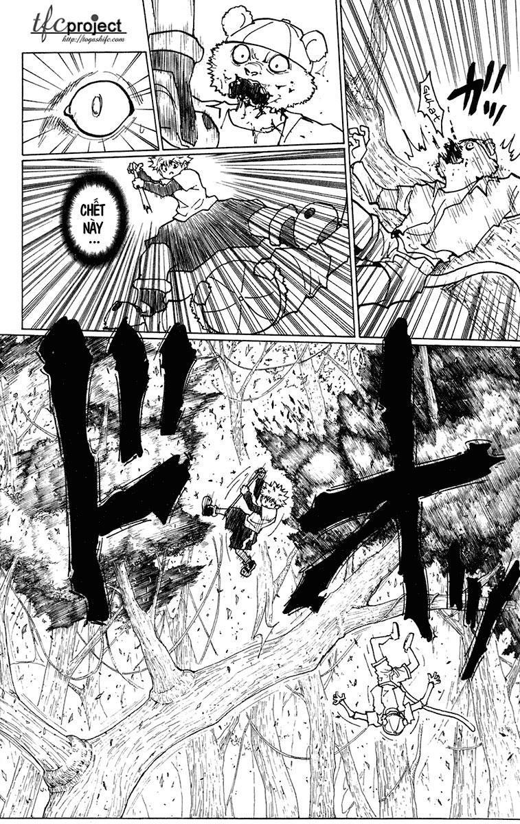 Hunter X Hunter Tập 236 trang 10