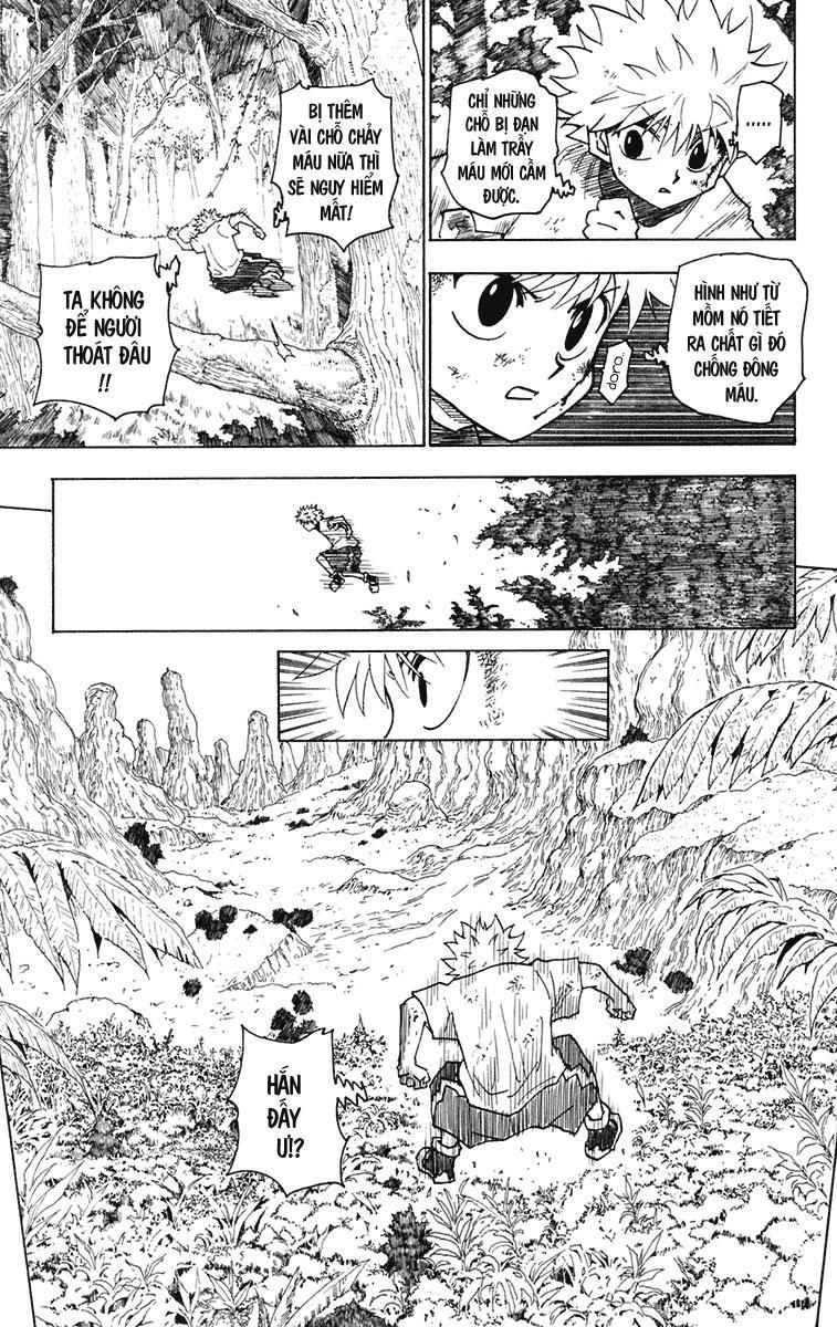 Hunter X Hunter Tập 237 trang 12