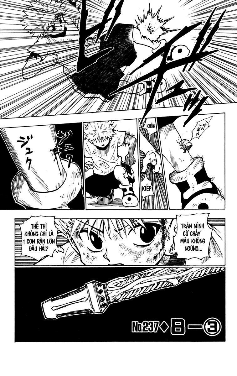Hunter X Hunter Tập 237 trang 3
