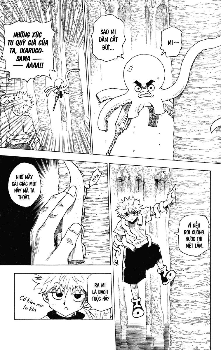 Hunter X Hunter Tập 238 trang 5