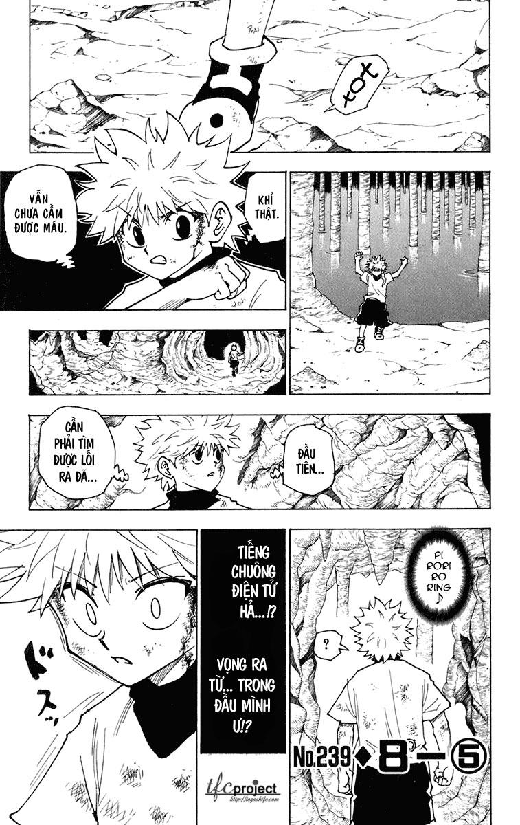 Hunter X Hunter Tập 239 trang 3