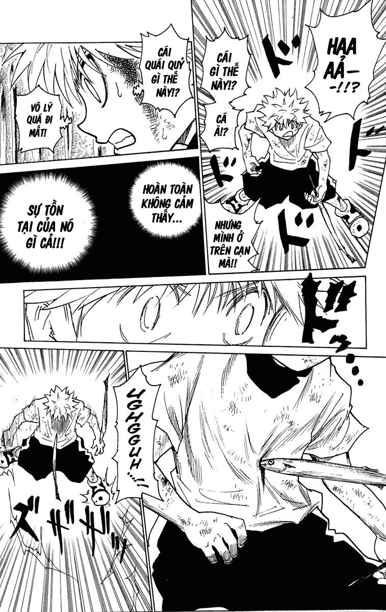 Hunter X Hunter Tập 239 trang 5