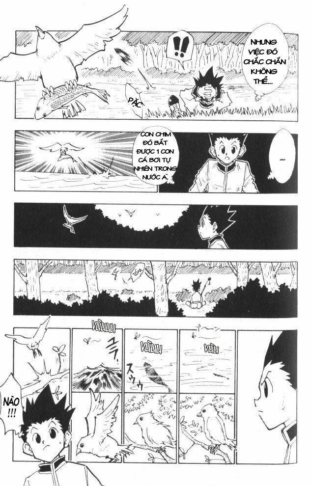Hunter X Hunter Tập 24 trang 19