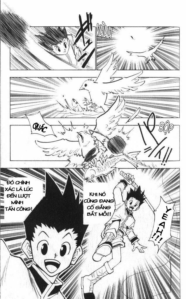 Hunter X Hunter Tập 24 trang 21
