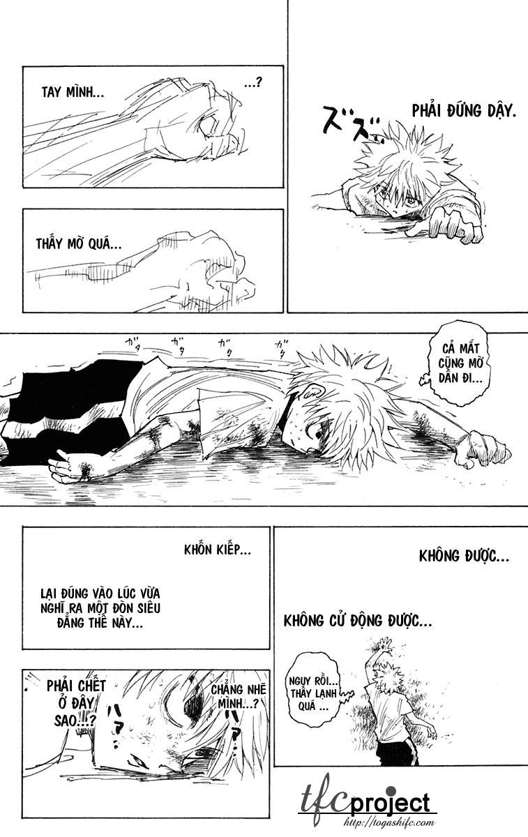 Hunter X Hunter Tập 241 trang 6