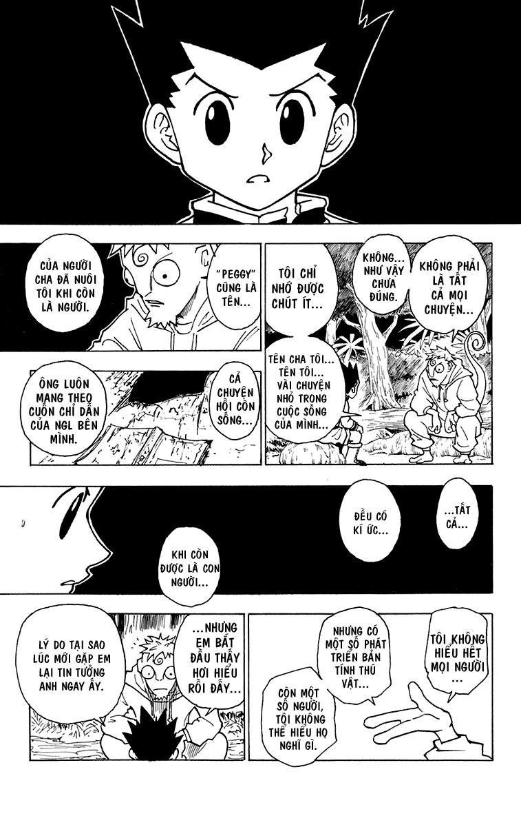 Hunter X Hunter Tập 242 trang 15