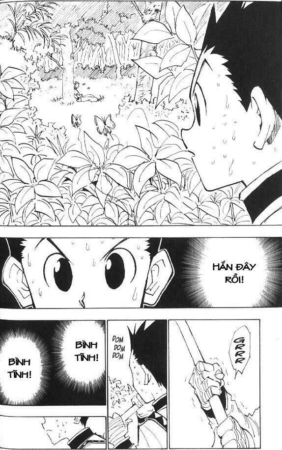 Hunter X Hunter Tập 25 trang 10