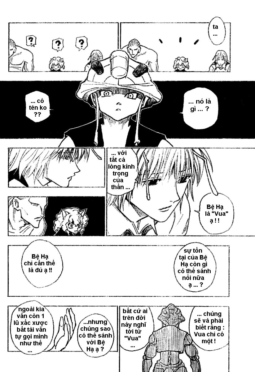Hunter X Hunter Tập 257 trang 11