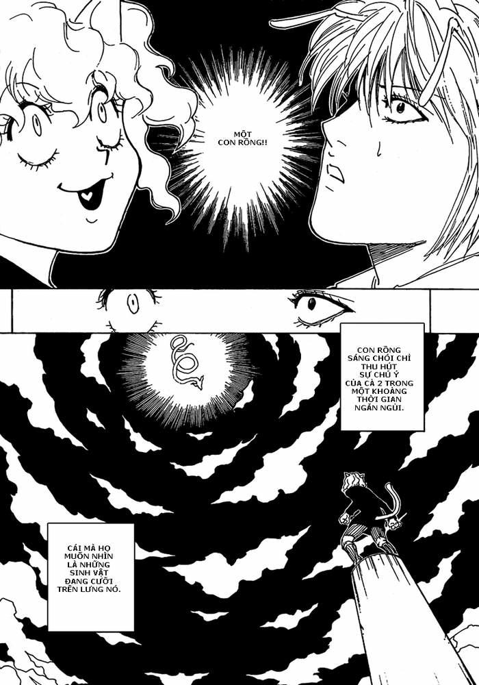 Hunter X Hunter Tập 263 trang 10