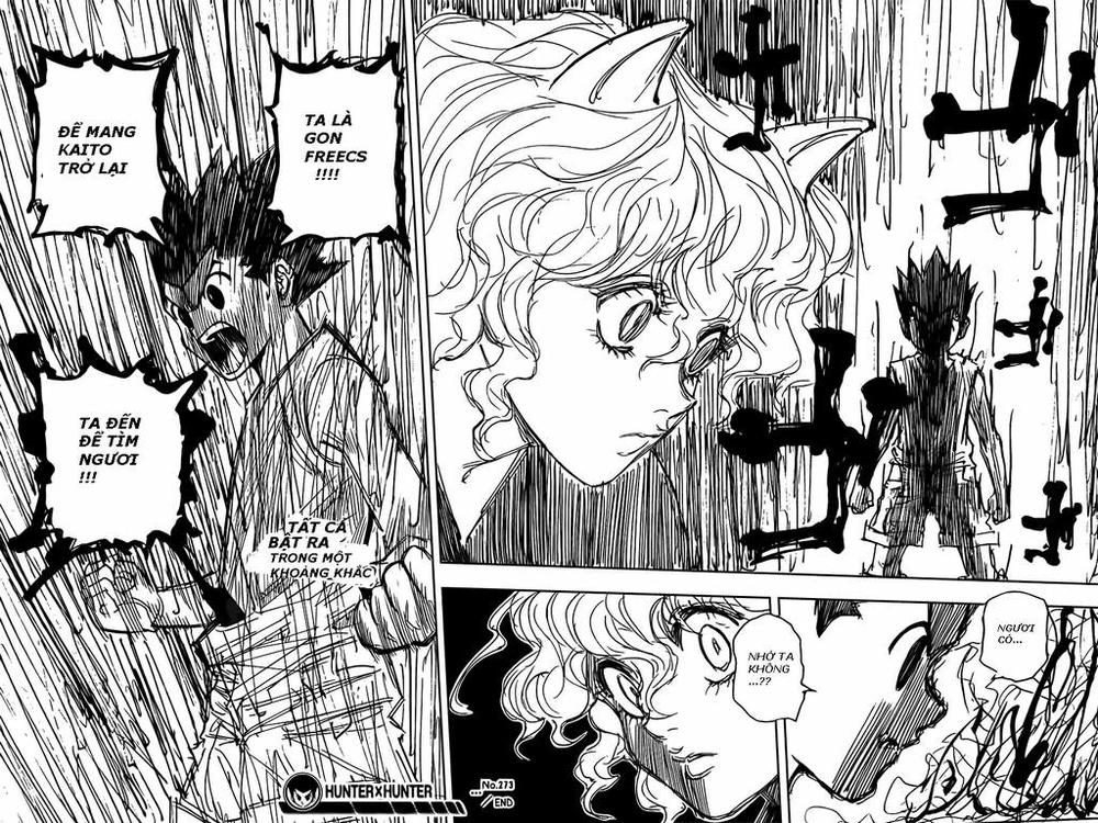 Hunter X Hunter Tập 273 trang 19