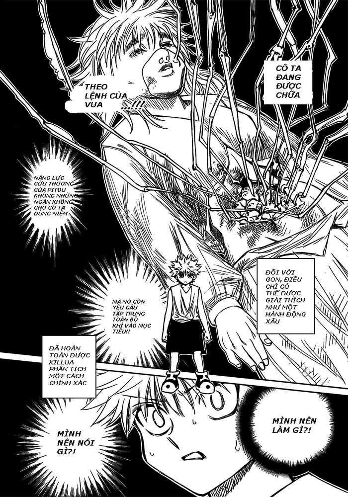 Hunter X Hunter Tập 274 trang 13
