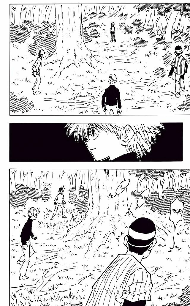 Hunter X Hunter Tập 29 trang 13