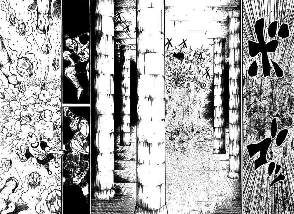 Hunter X Hunter Tập 291 trang 14