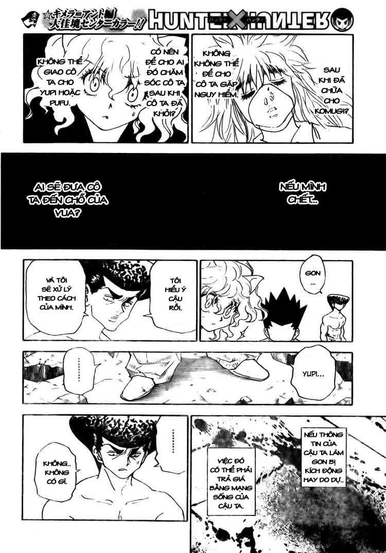 Hunter X Hunter Tập 295 trang 17