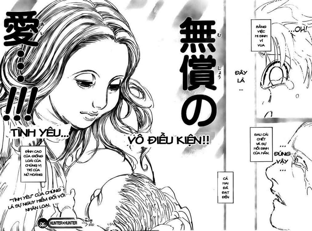 Hunter X Hunter Tập 299 trang 17