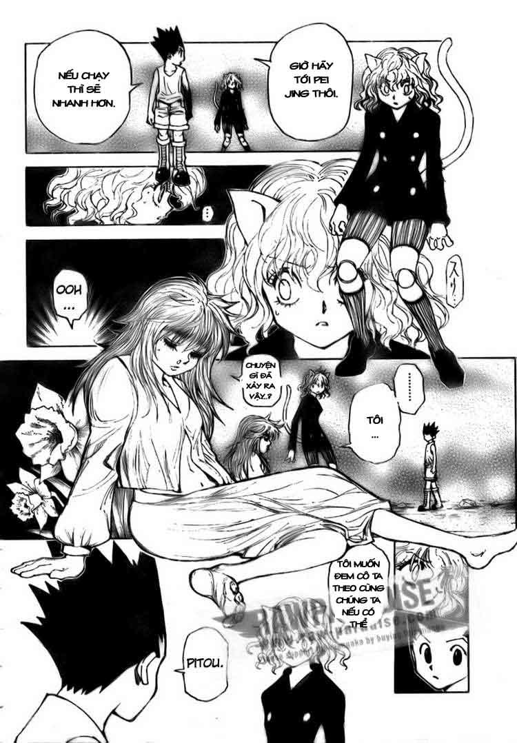 Hunter X Hunter Tập 300 trang 13