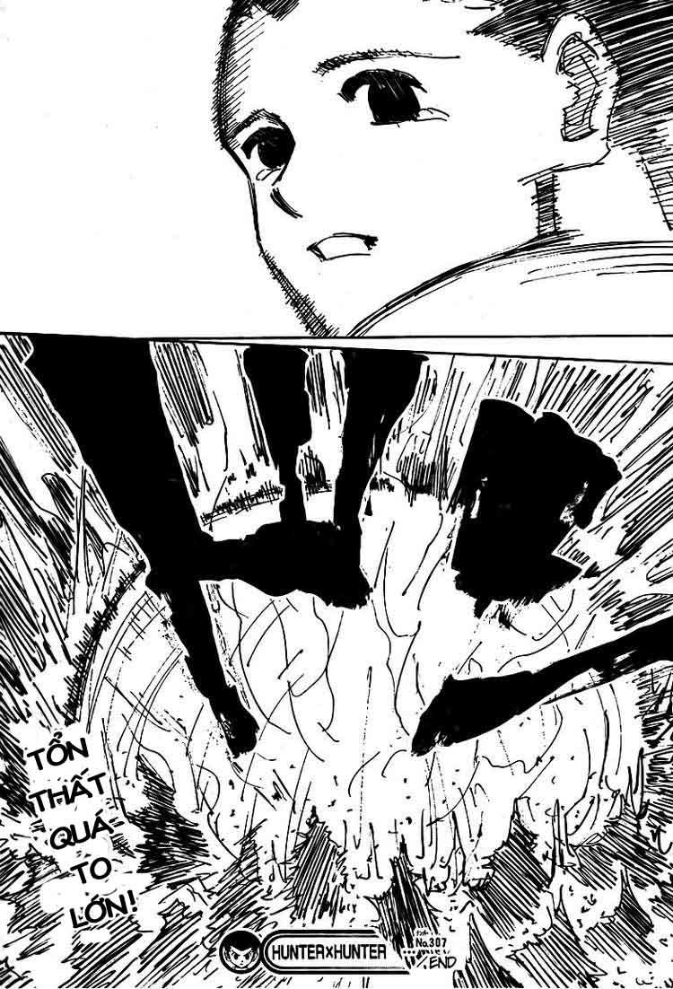 Hunter X Hunter Tập 307 trang 19
