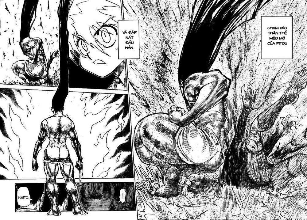 Hunter X Hunter Tập 307 trang 5