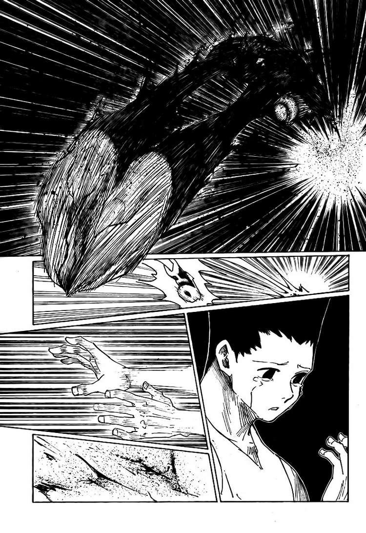 Hunter X Hunter Tập 307 trang 9