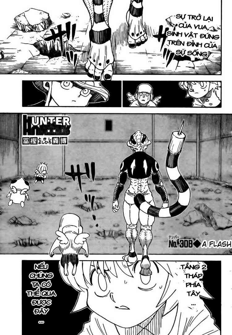 Hunter X Hunter Tập 308 trang 2