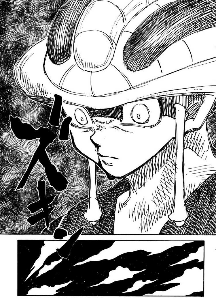 Hunter X Hunter Tập 310 trang 14
