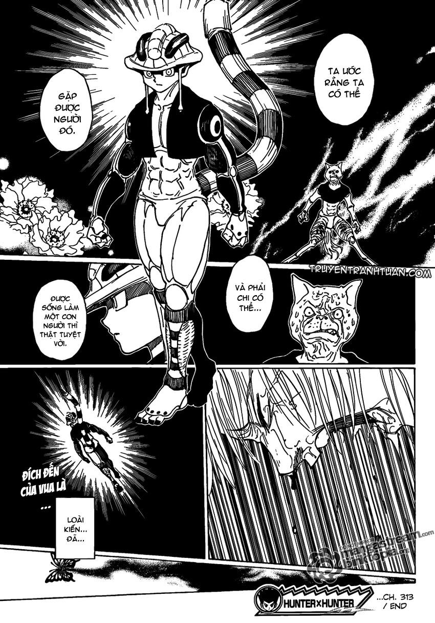Hunter X Hunter Tập 313 trang 15