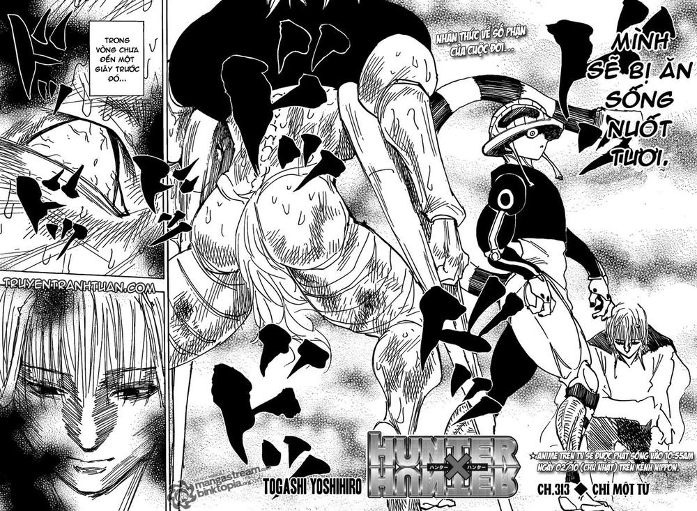 Hunter X Hunter Tập 313 trang 3