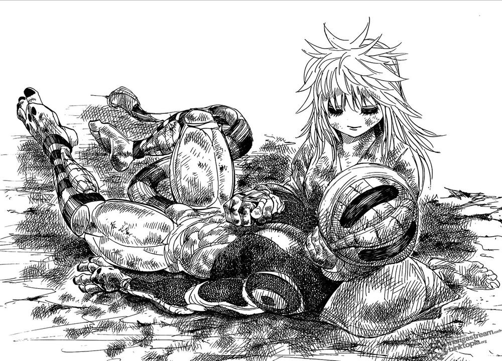 Hunter X Hunter Tập 318 trang 11