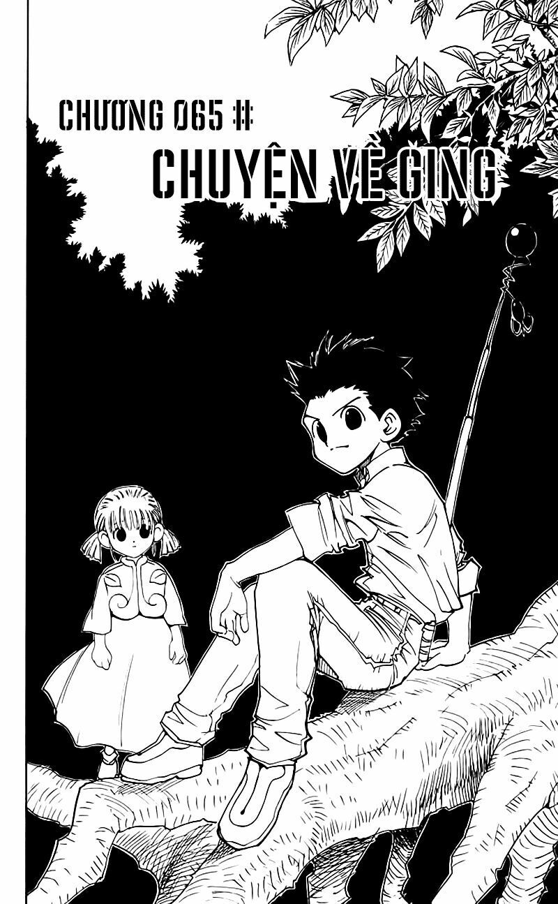 Hunter X Hunter Tập 65 trang 3