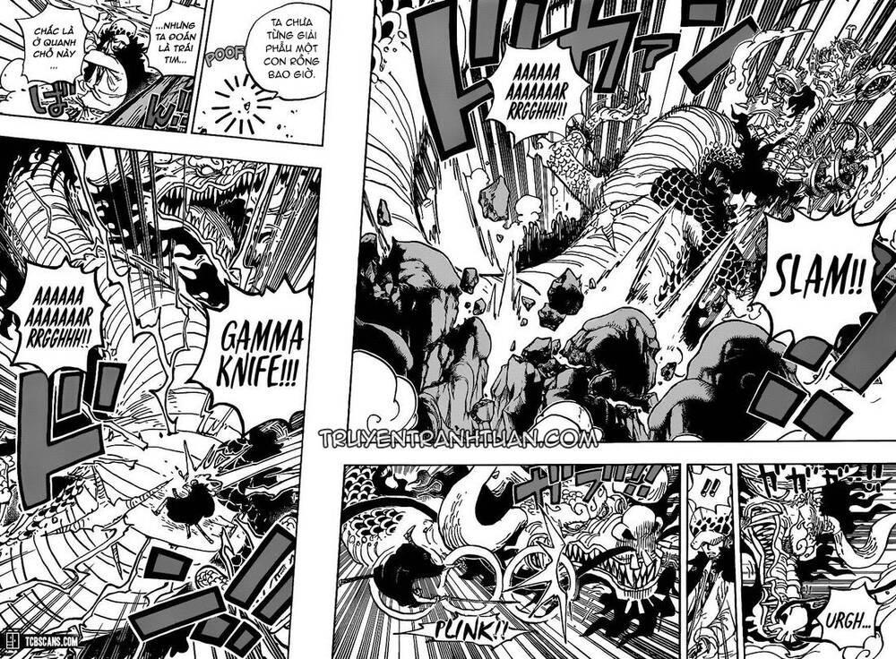 One Piece Tập 1002 trang 6