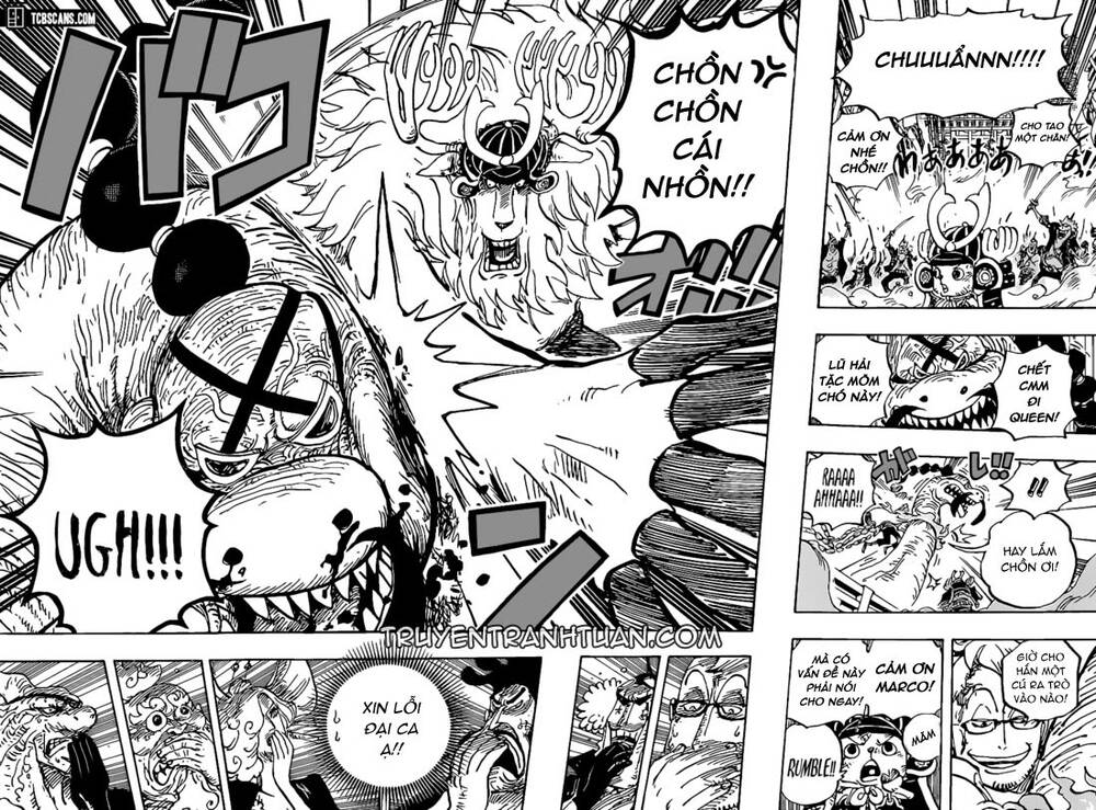 One Piece Tập 1007 trang 13