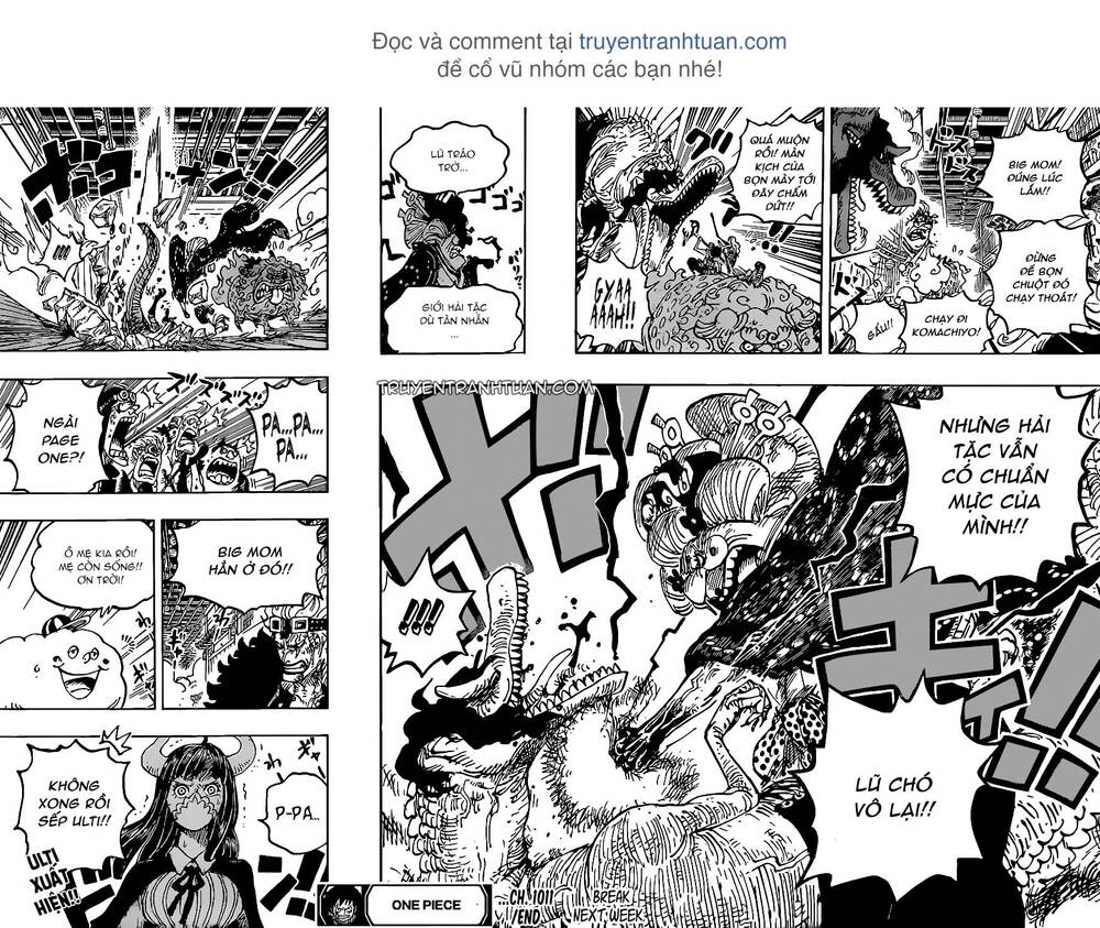 One Piece Tập 1011 trang 19