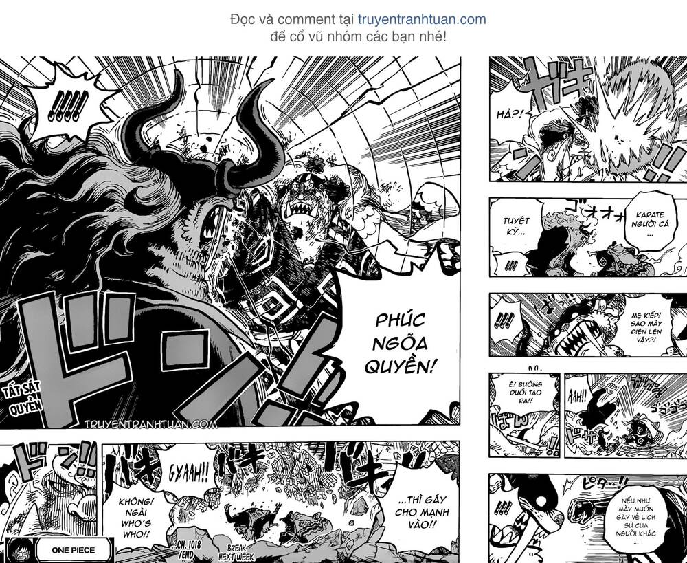 One Piece Tập 1018 trang 17