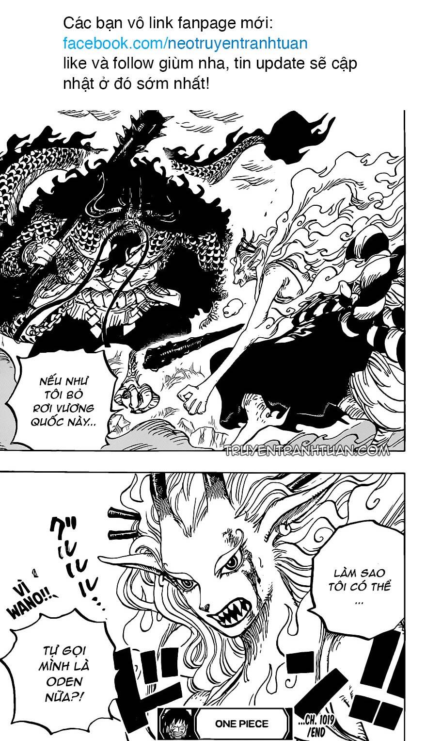 One Piece Tập 1019 trang 20