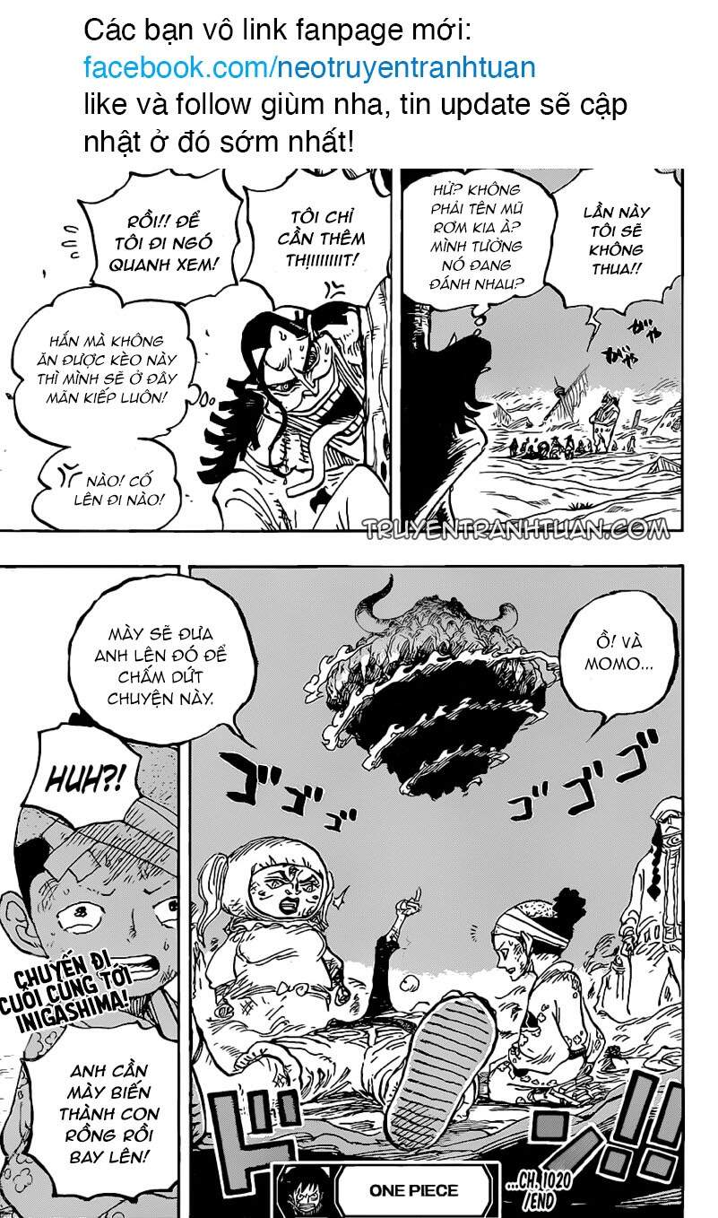 One Piece Tập 1020 trang 18