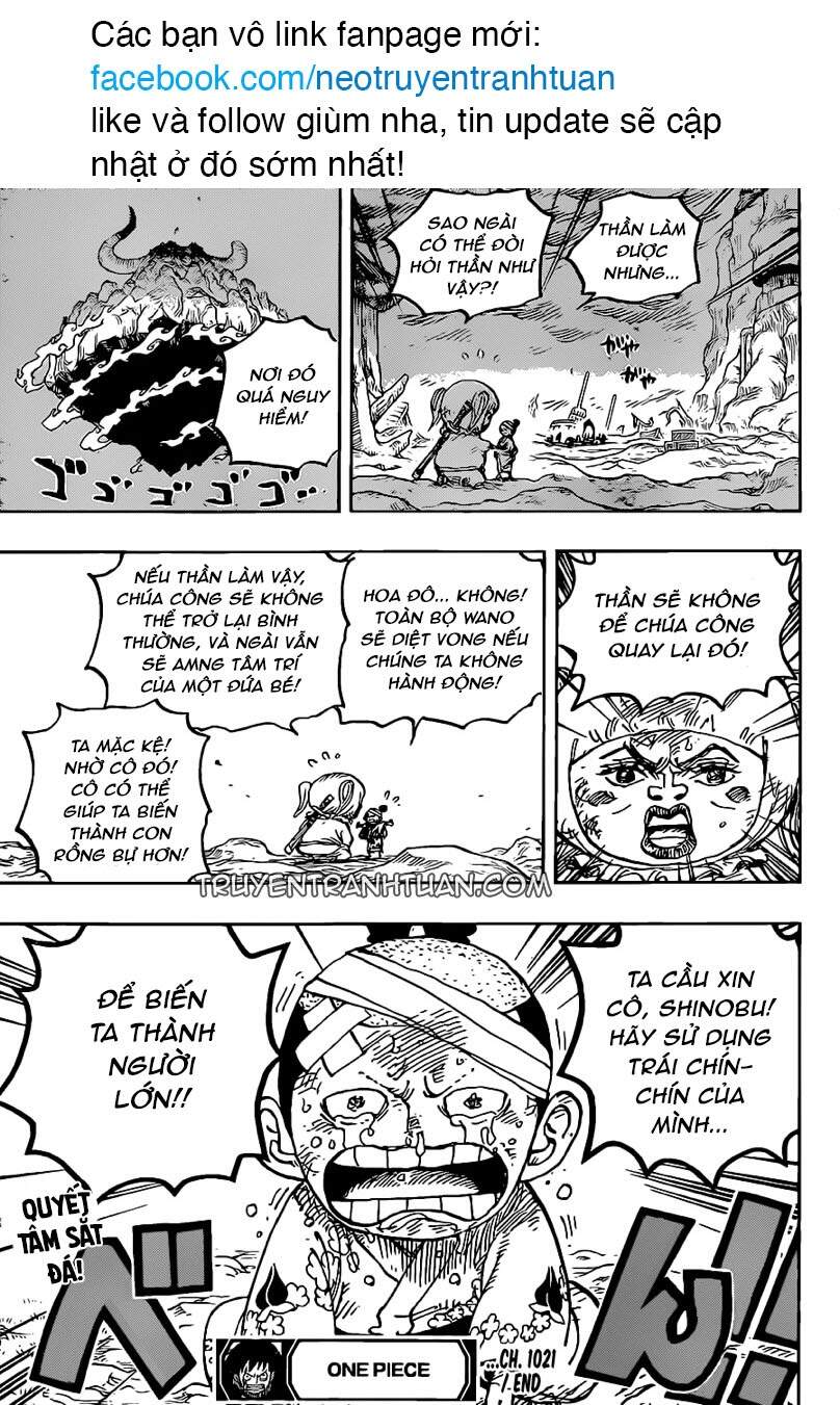 One Piece Tập 1021 trang 17