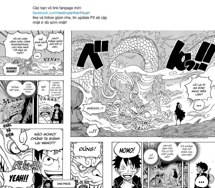 One Piece Tập 1023 trang 18