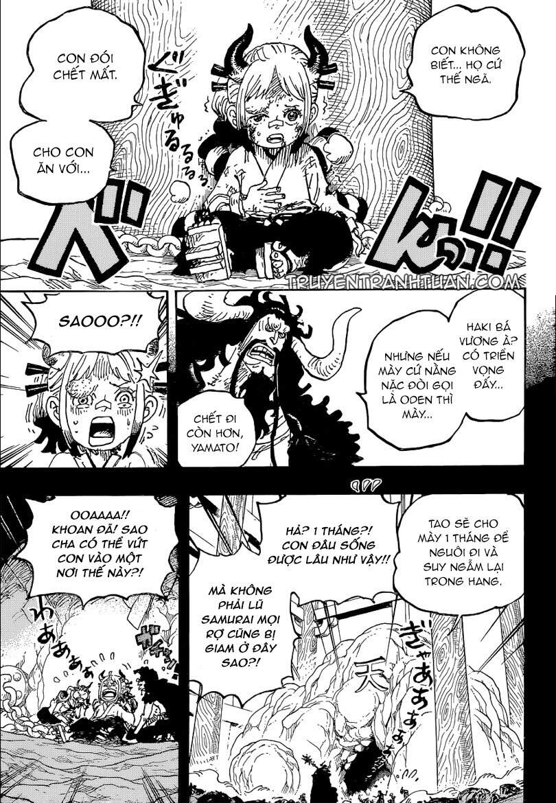 One Piece Tập 1024 trang 13
