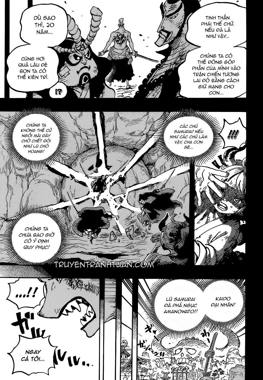 One Piece Tập 1024 trang 19