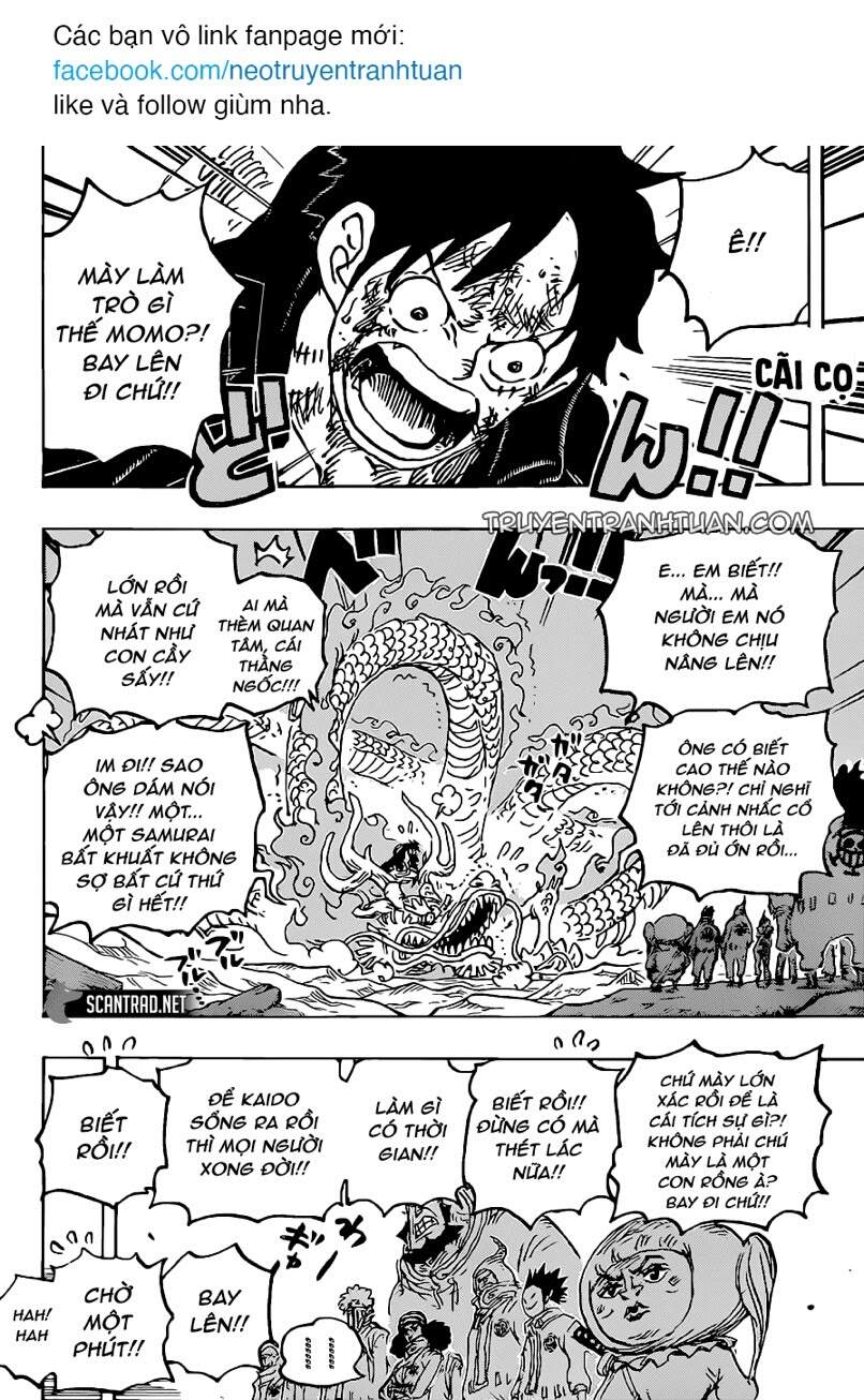 One Piece Tập 1025 trang 5
