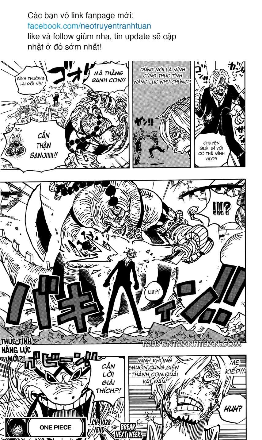 One Piece Tập 1028 trang 18