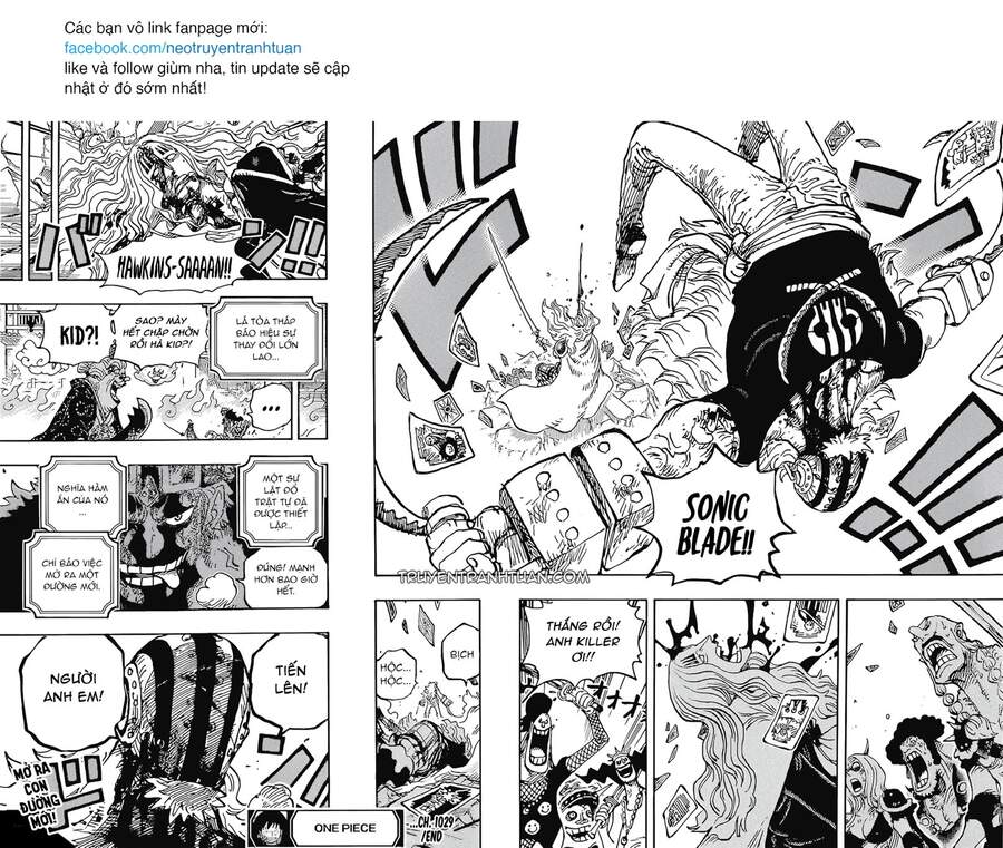 One Piece Tập 1029 trang 15