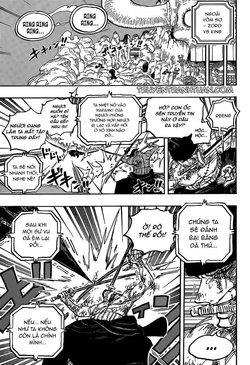 One Piece Tập 1031 trang 17