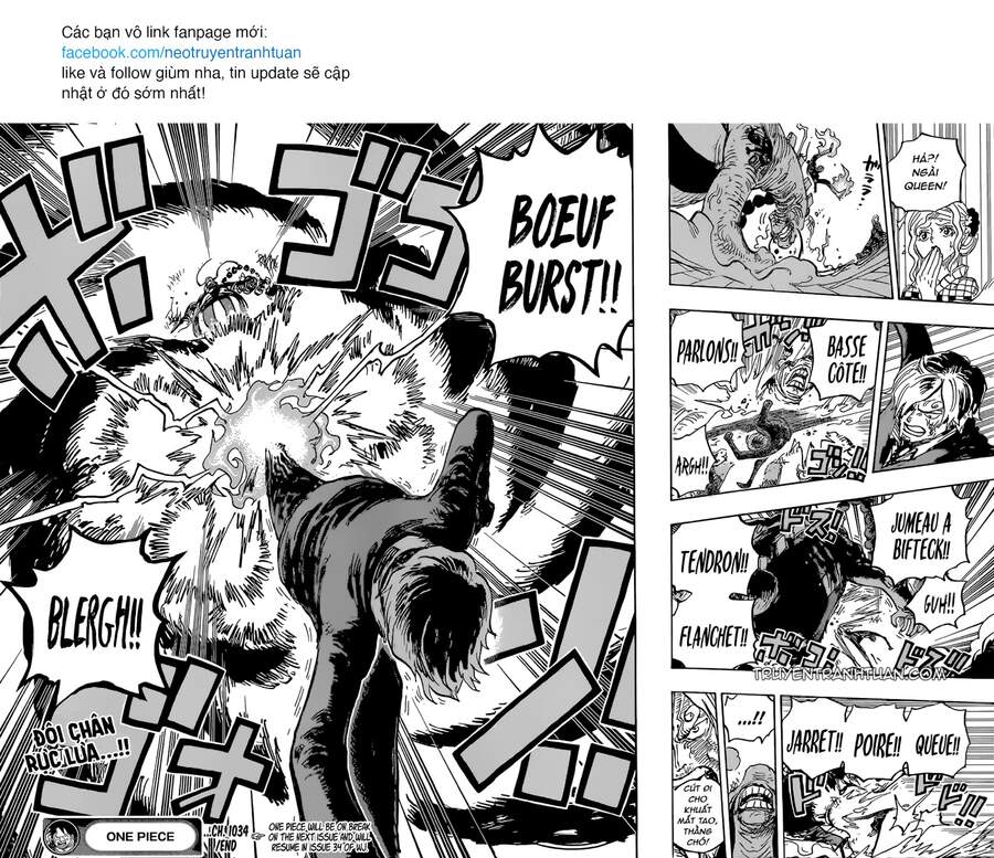 One Piece Tập 1034 trang 14